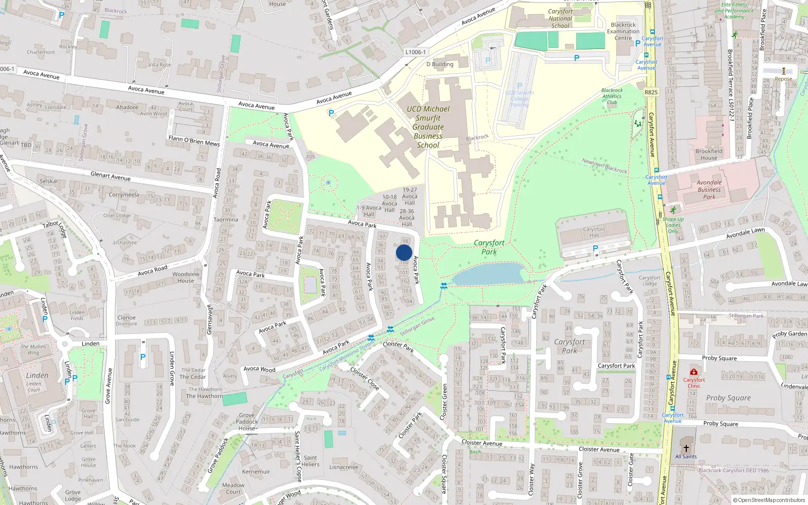 Overhead map showing the location of 99 Avoca Park, Blackrock