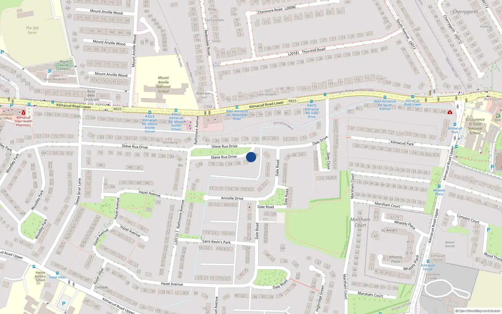 Overhead map showing the location of 99 Slieve Rua Drive, Stillorgan, Dublin