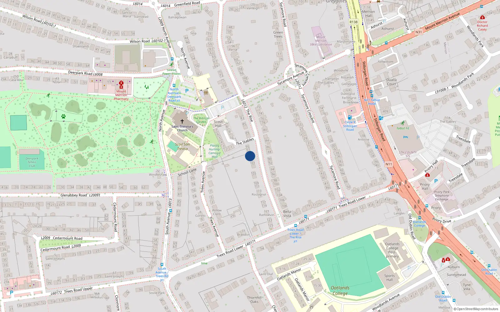 Overhead map showing the location of 99 The Rise, Blackrock