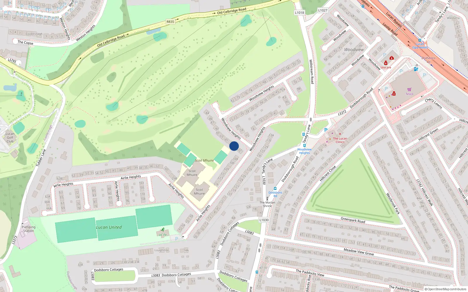 Overhead map showing the location of 99 Woodview Heights, Lucan, Dublin