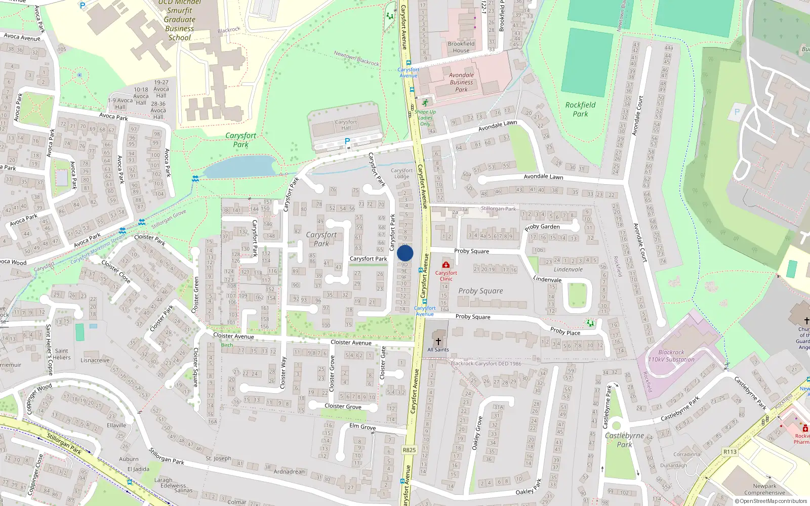 Overhead map showing the location of 9B Carysfort Park, Blackrock, Dublin