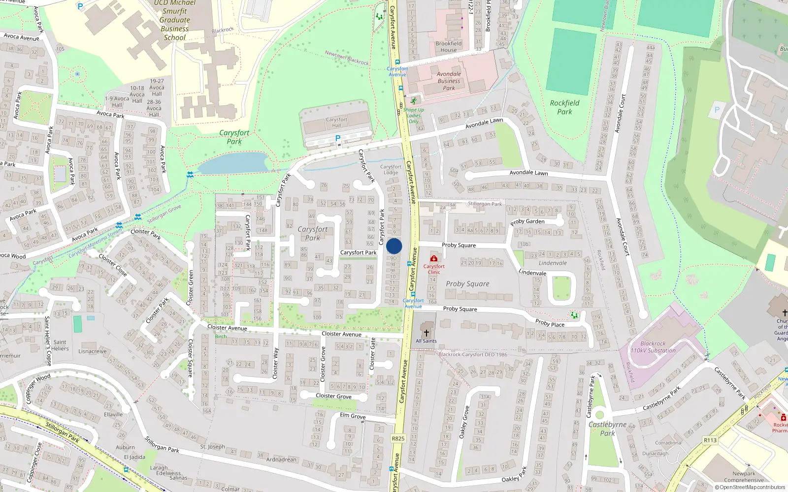 Overhead map showing the location of 9B Carysfort Park, Blackrock
