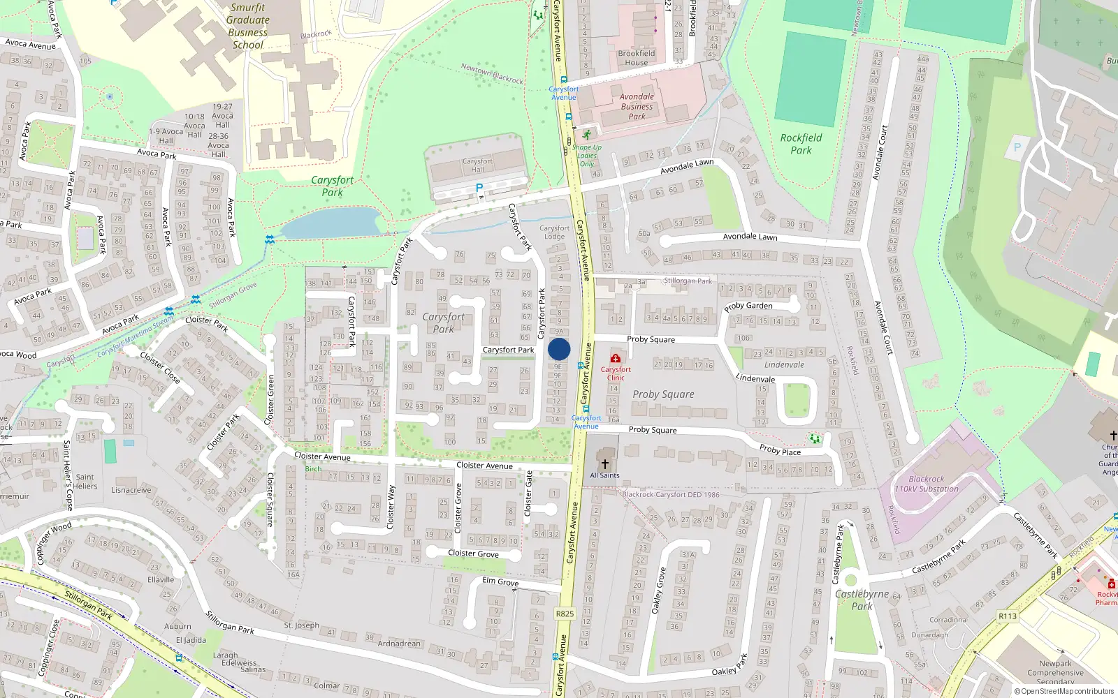 Overhead map showing the location of 9C Carysfort Park, Blackrock