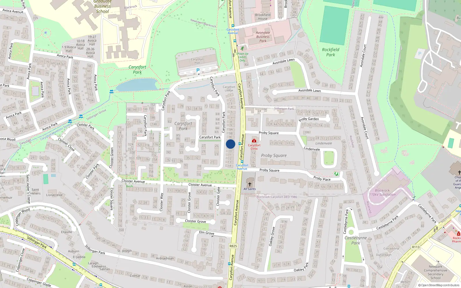 Overhead map showing the location of 9E Carysfort Park, Blackrock