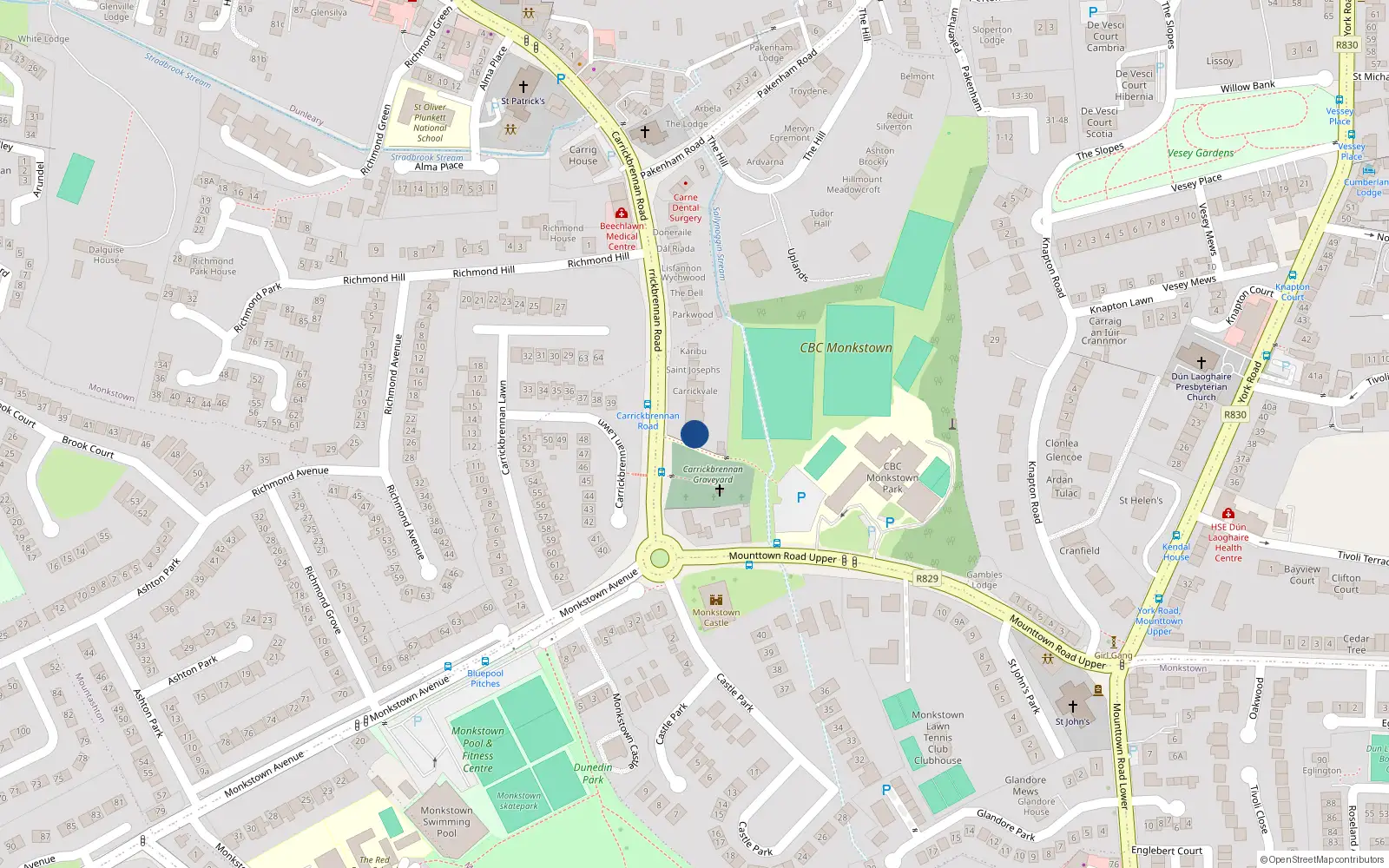 Overhead map showing the location of Carrickbrennan Road, Monkstown