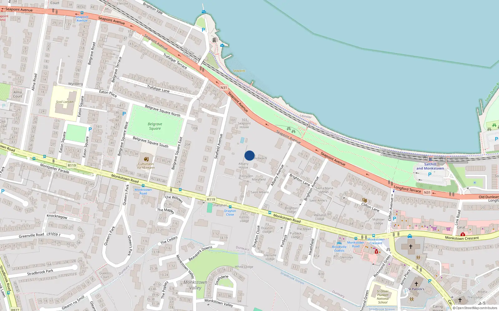Overhead map showing the location of Albany Avenue, Blackrock