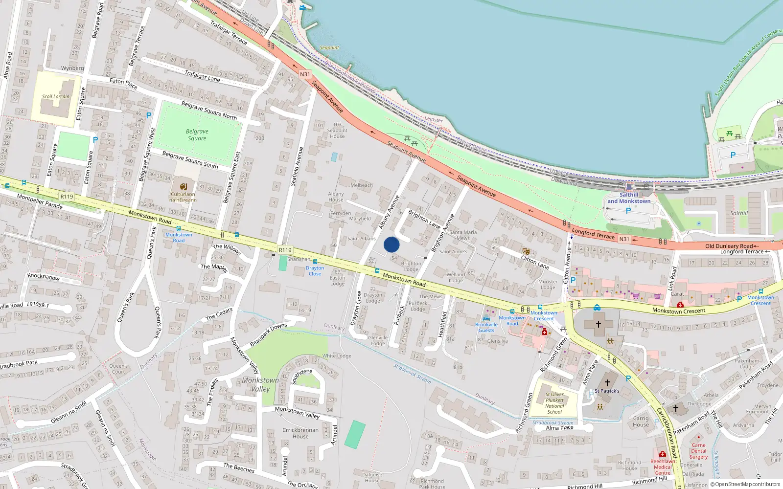 Overhead map showing the location of Albany Avenue, Blackrock