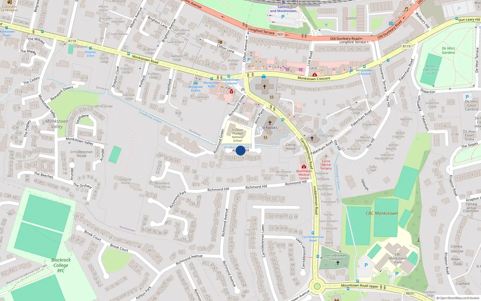 Overhead map showing the location of Alma Park, Monkstown