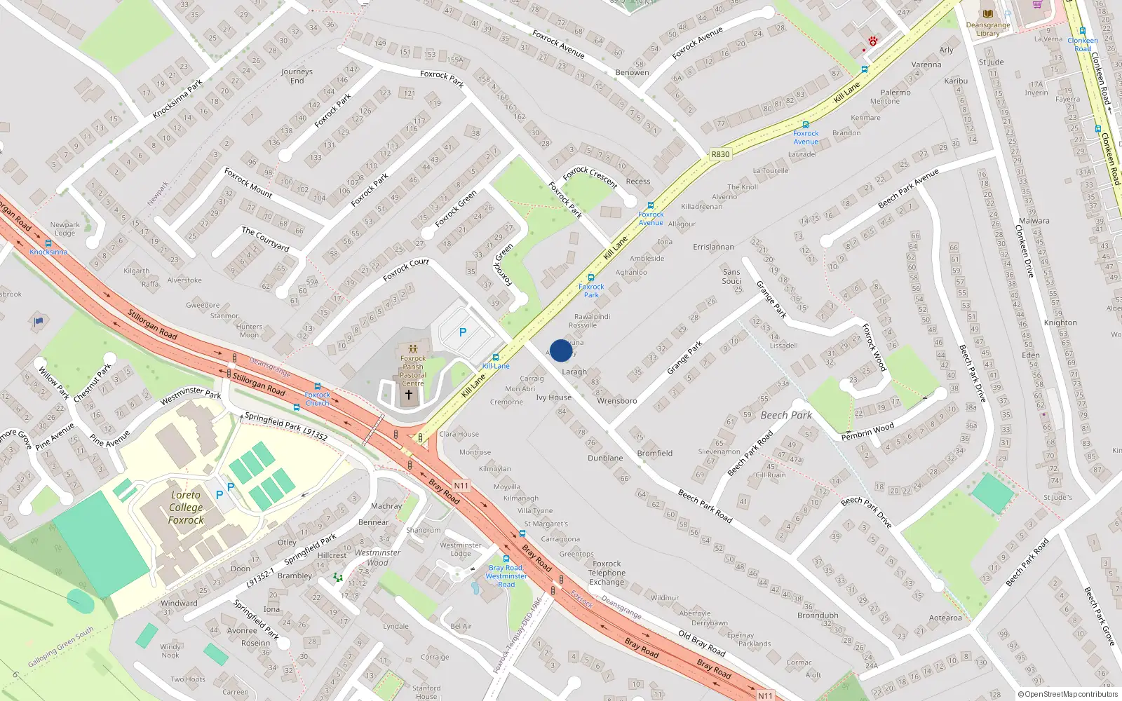 Overhead map showing the location of Kill Lane, Dublin 18