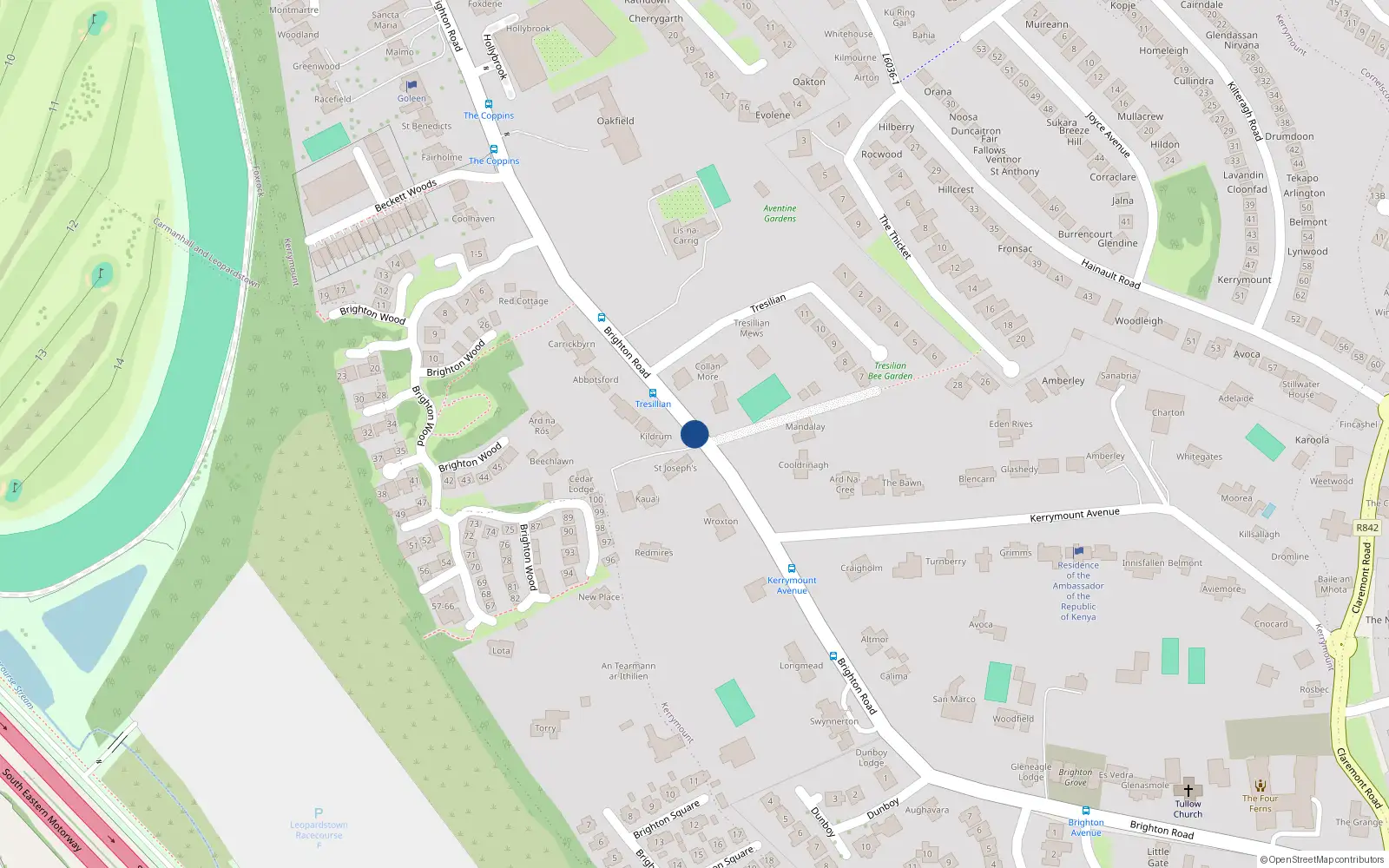 Overhead map showing the location of Brighton Road, Foxrock