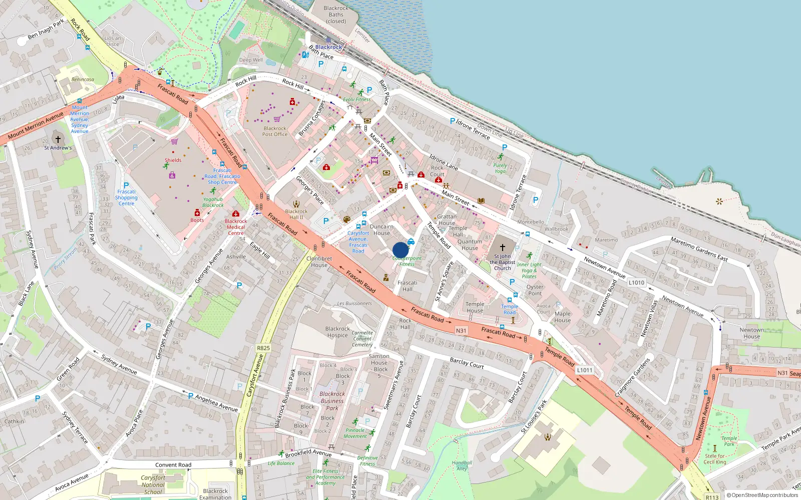 Overhead map showing the location of Apartment 13, Duncairn Court, Blackrock