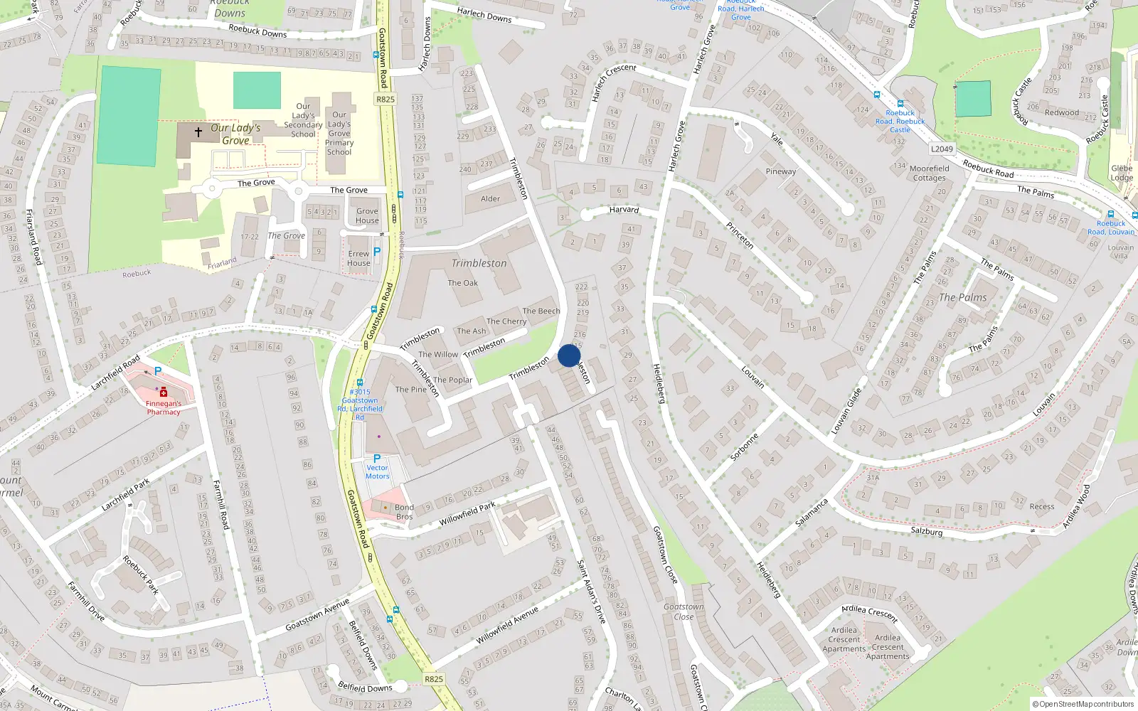 Overhead map showing the location of Apartment 205, 205 Trimbleston, Goatstown Road