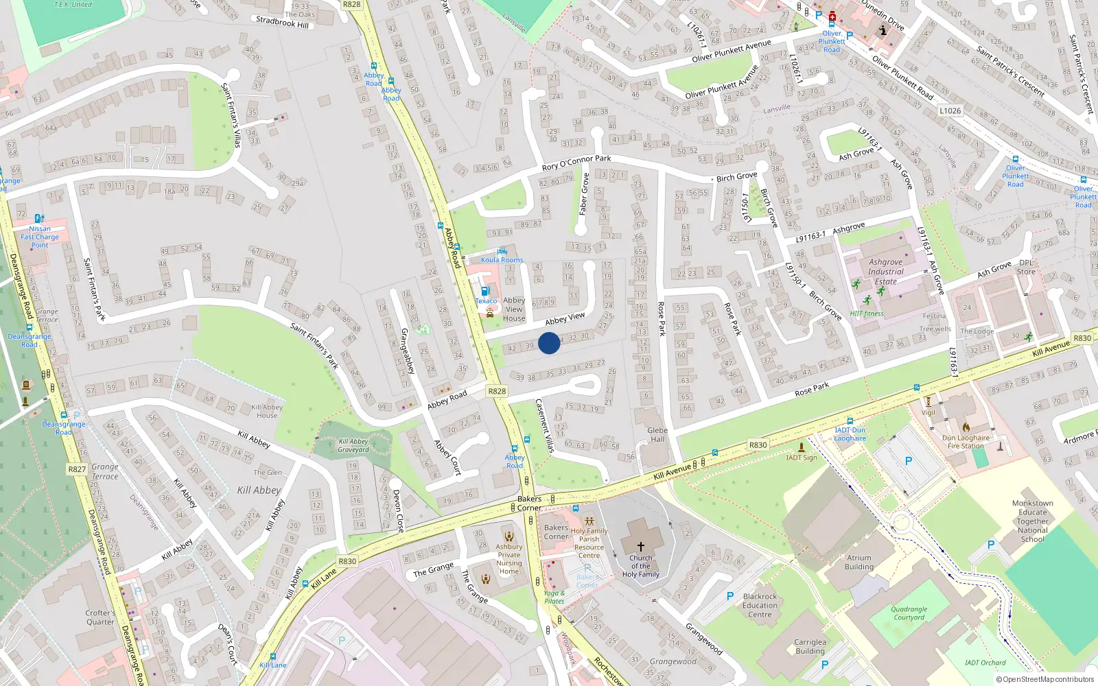 Overhead map showing the location of Apartments 1-3, 36 Abbey View, Monkstown