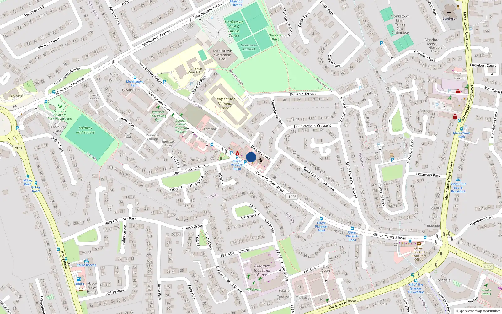 Overhead map showing the location of Apt 11 Castlegate, Oliver Plunkett Road, Monkstown