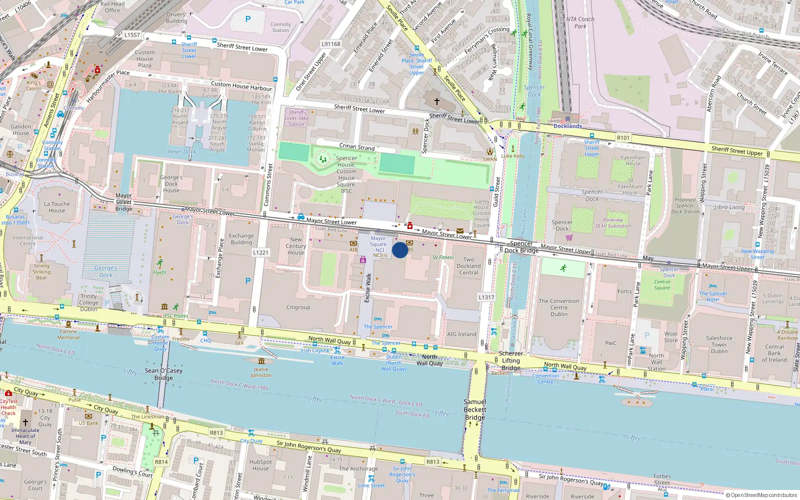 Overhead map showing the location of Apt 1.1, National College of Ireland, Mayor St