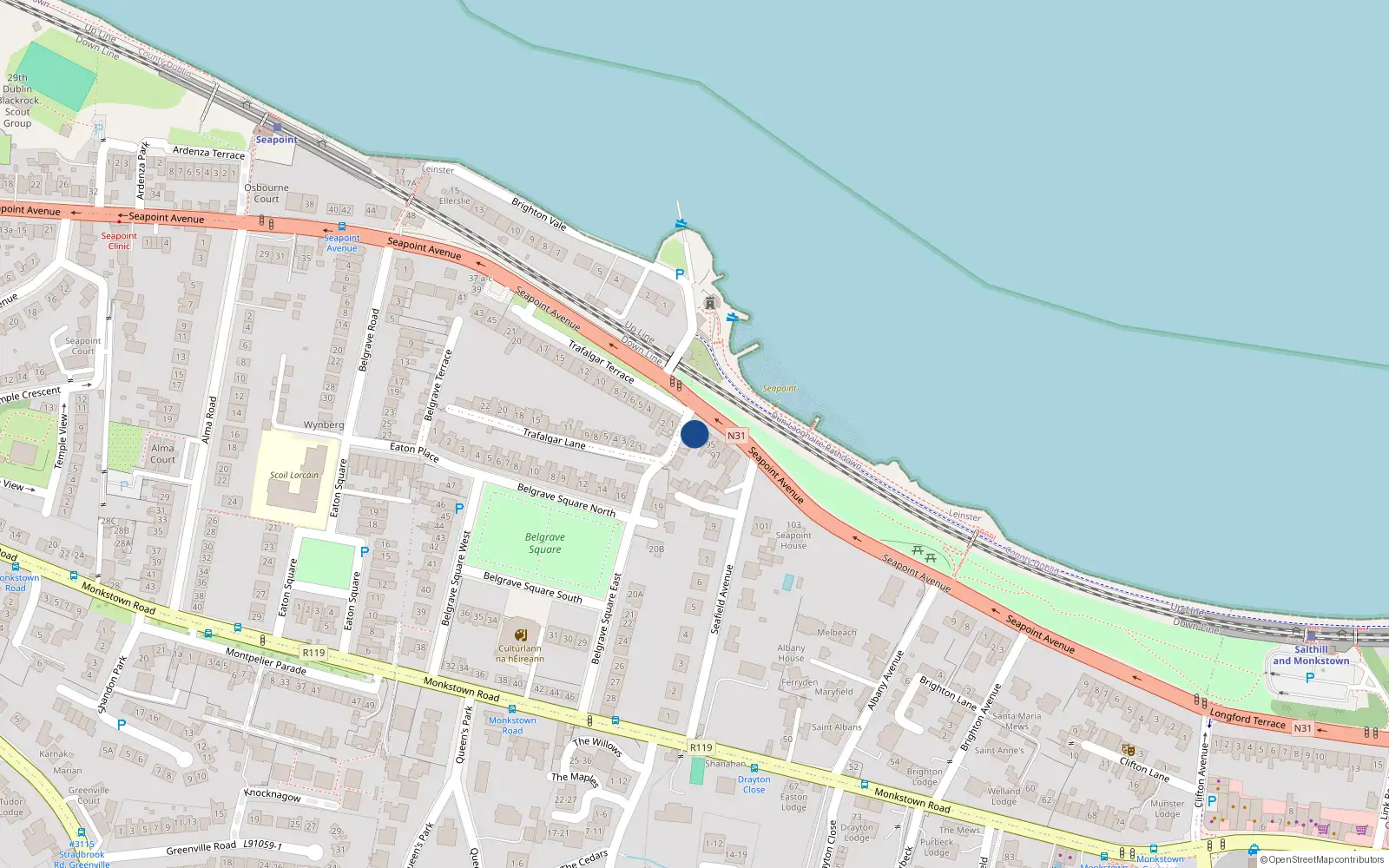 Overhead map showing the location of Apt 2, 91 Seapoint Avenue, Blackrock