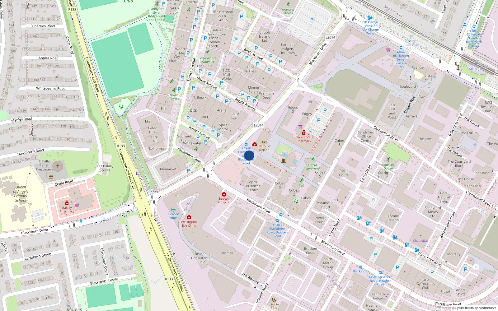 Overhead map showing the location of Apt 211 the Gates, Beacon South Quarter, Sandyford
