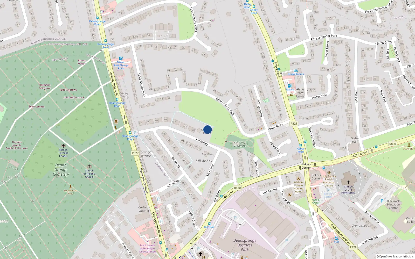 Overhead map showing the location of Apt 4 Kill Abbey Manor, 4 Kill Abbey, Blackrock