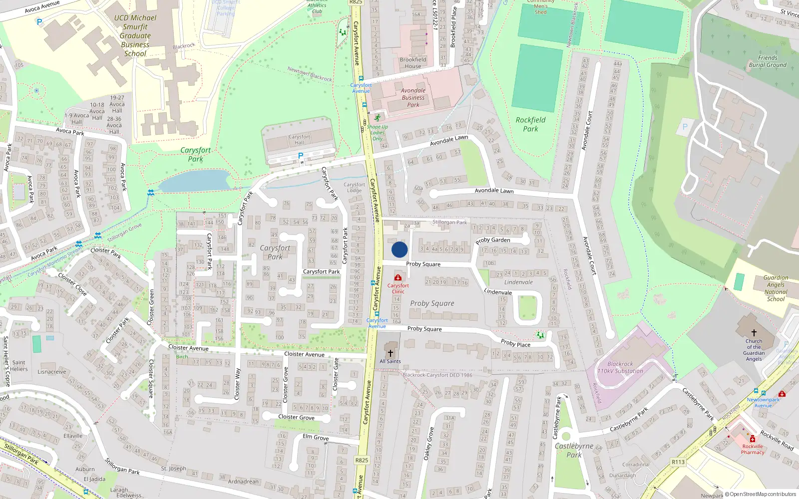 Overhead map showing the location of Apt 6, 2 Proby Square, Blackrock
