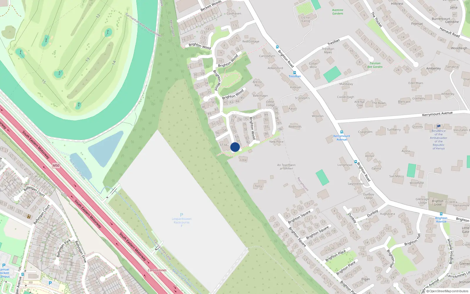 Overhead map showing the location of Apt 61 Brighton Wood, 61 Brighton Wood, Foxrock