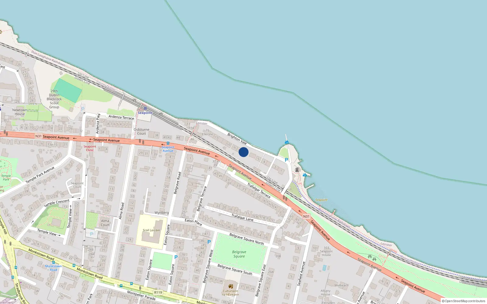 Overhead map showing the location of Apt 7, 7 Brighton Vale, Blackrock