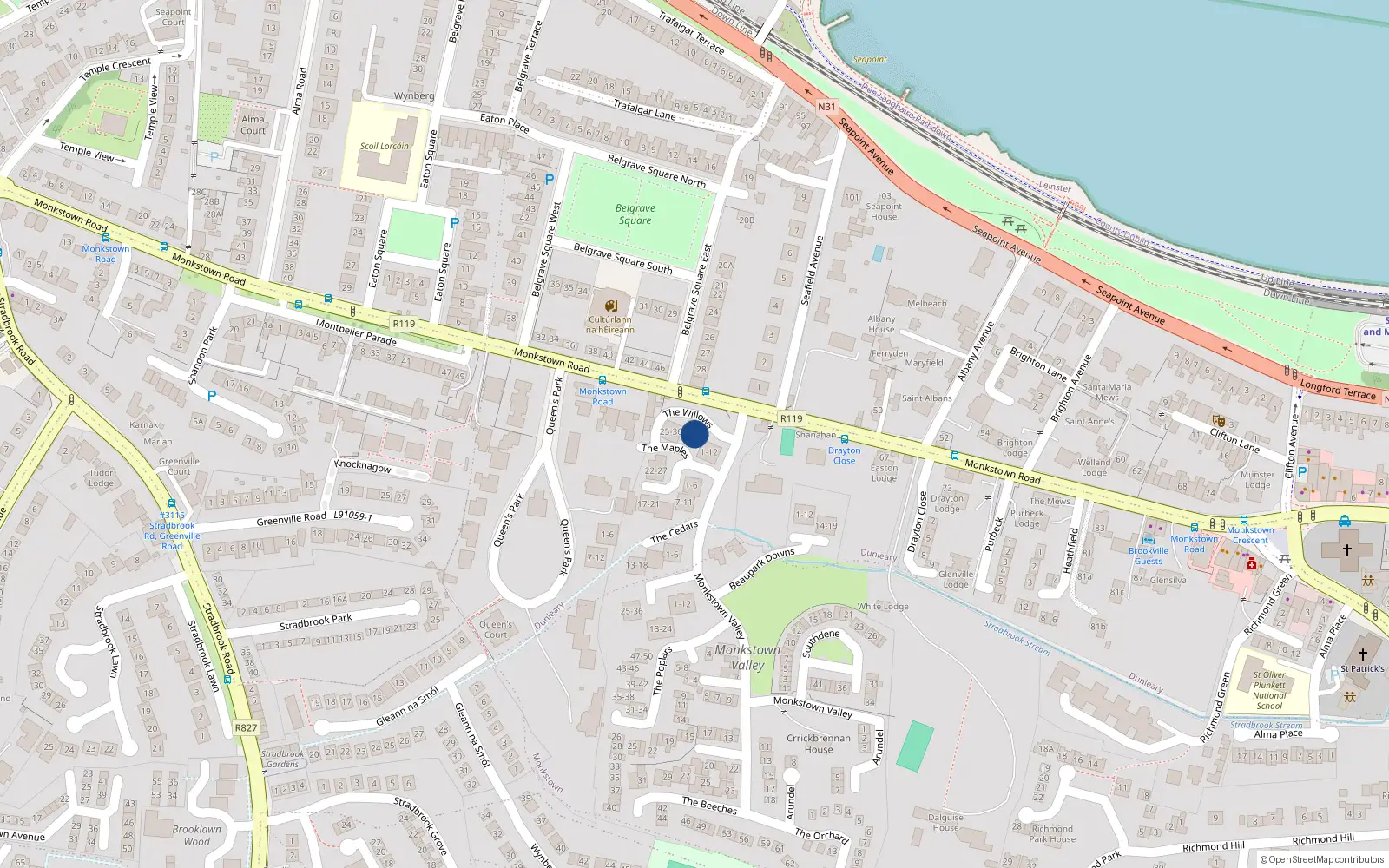 Overhead map showing the location of Apt 8, The Willows, Monkstown Valley, Monkstown