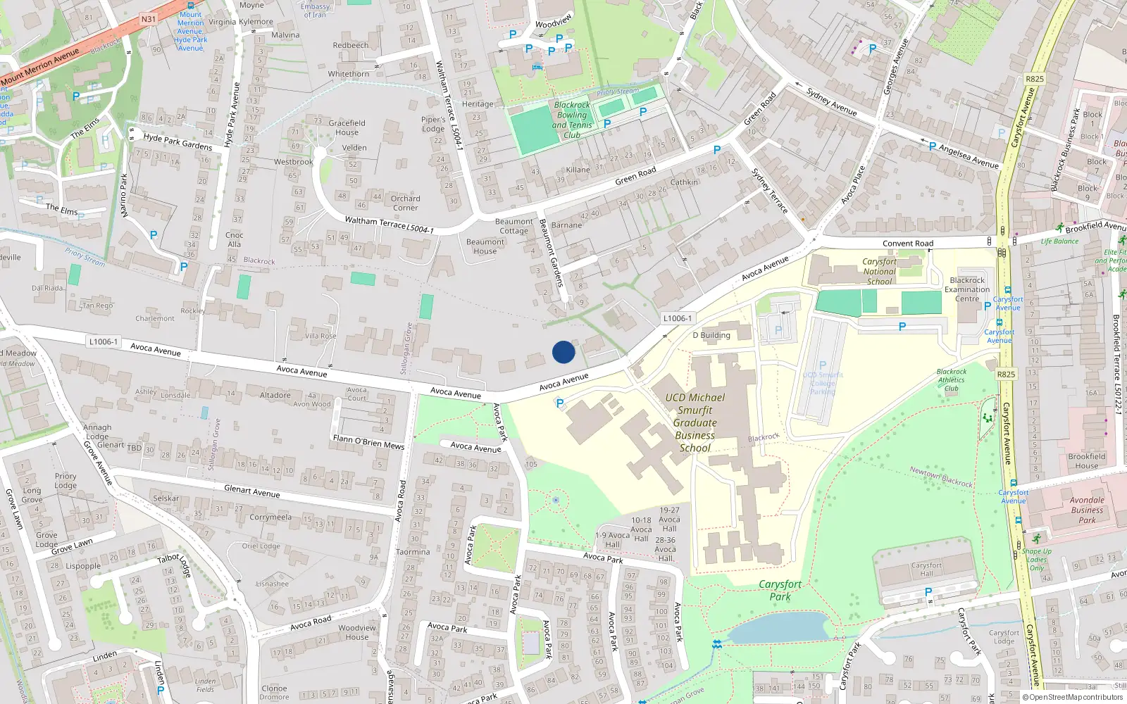 Overhead map showing the location of Aranmore, 21 Avoca Avenue, Blackrock