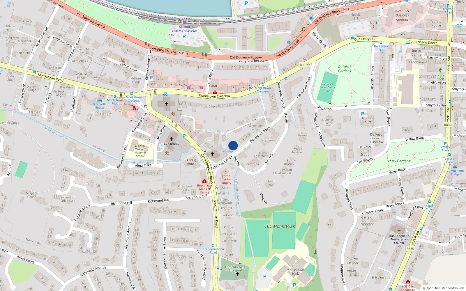 Overhead map showing the location of Pakenham Road, Monkstown