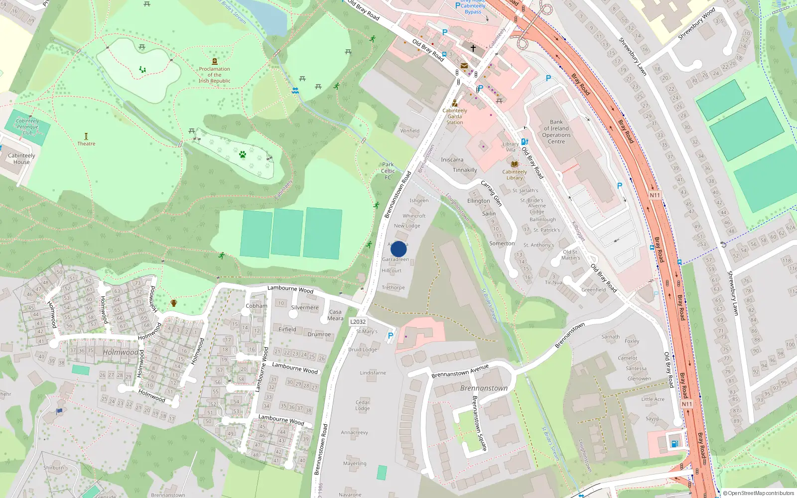 Overhead map showing the location of Brennanstown Road, Cabinteely