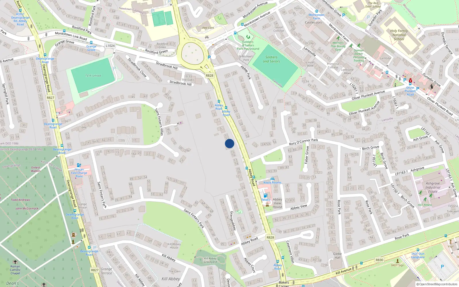 Overhead map showing the location of Arva, 12A Abbey Road, Monkstown