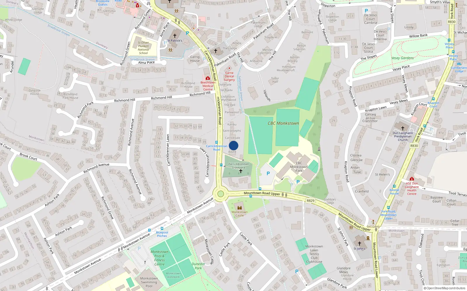 Overhead map showing the location of Carrickbrennan Road, Monkstown