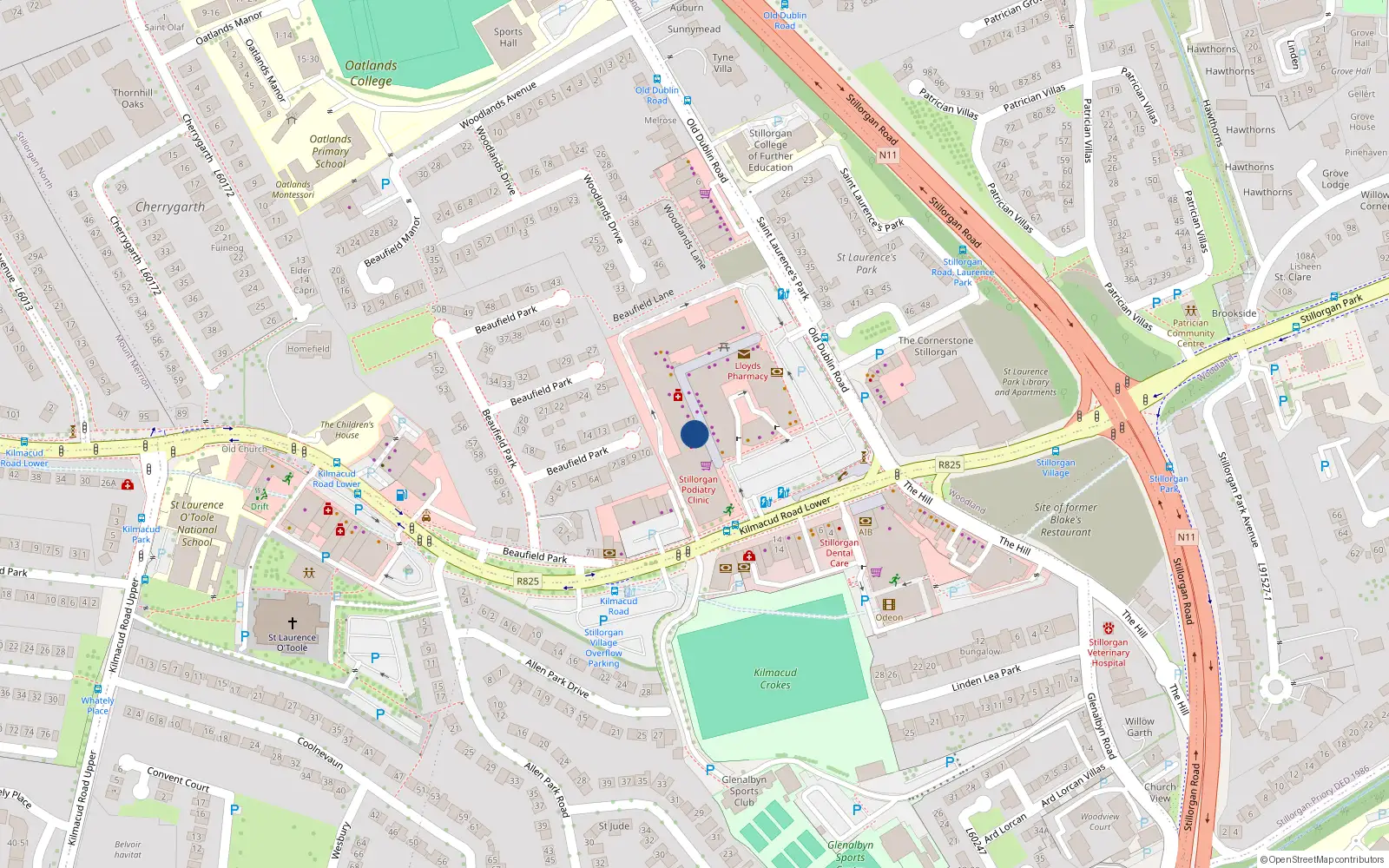 Overhead map showing the location of Ashley, 17 A Booterstown Avenue, Booterstown