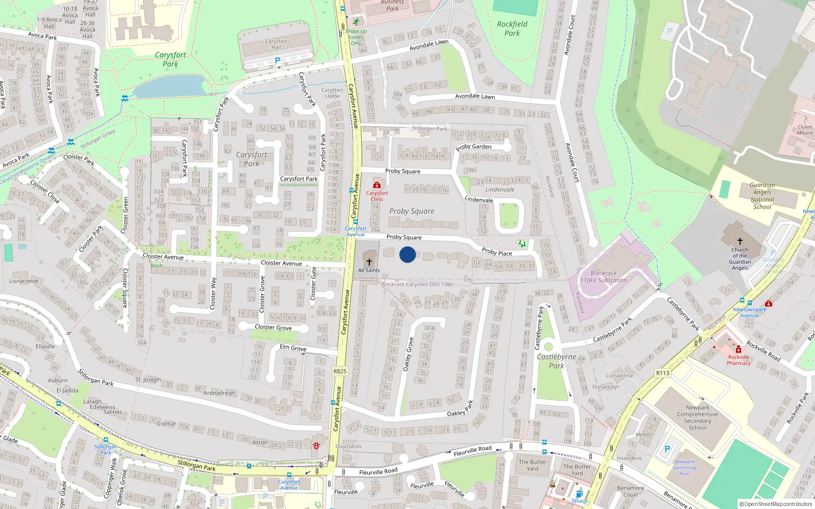 Overhead map showing the location of Proby Square, Blackrock