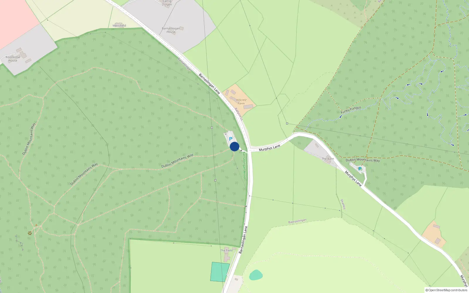 Overhead map showing the location of Barnaslingan House, Barnaslingan Lane, Kilternan