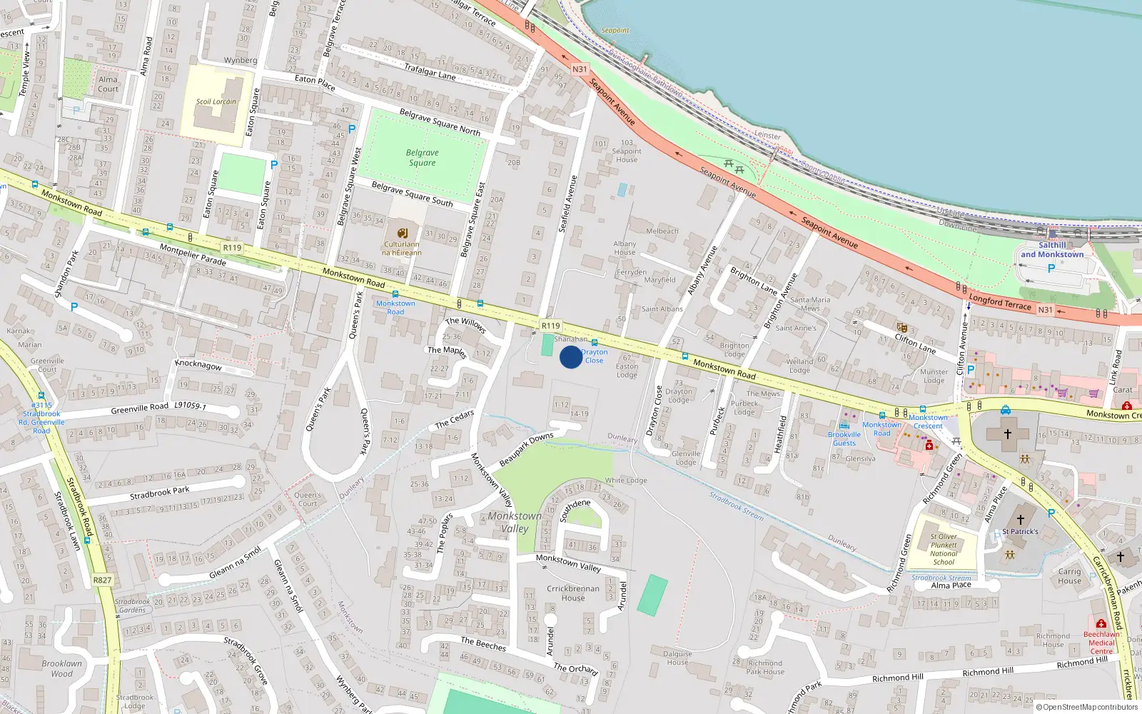 Overhead map showing the location of 65 Monkstown Road, Blackrock