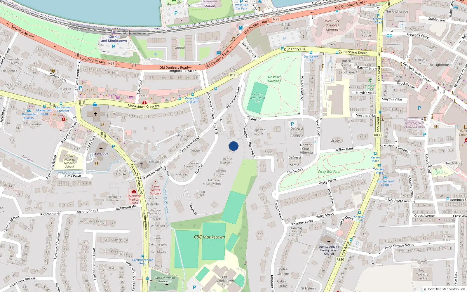 Overhead map showing the location of The Hill, Monkstown