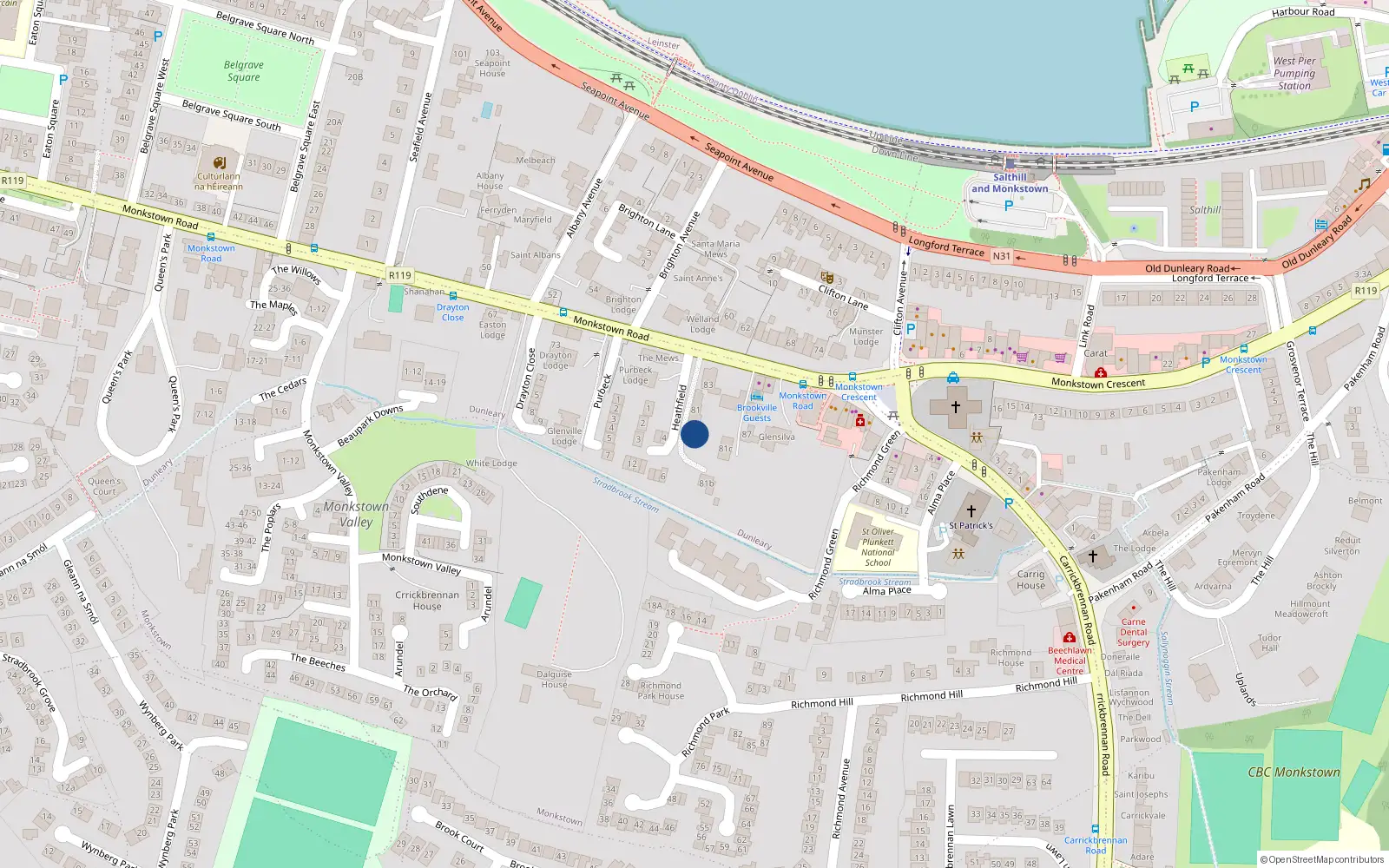 Overhead map showing the location of 81 Monkstown Road, Monkstown