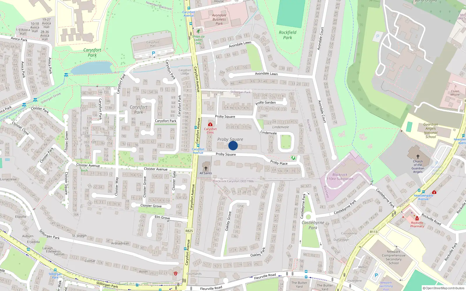Overhead map showing the location of 28 Proby Square, Blackrock