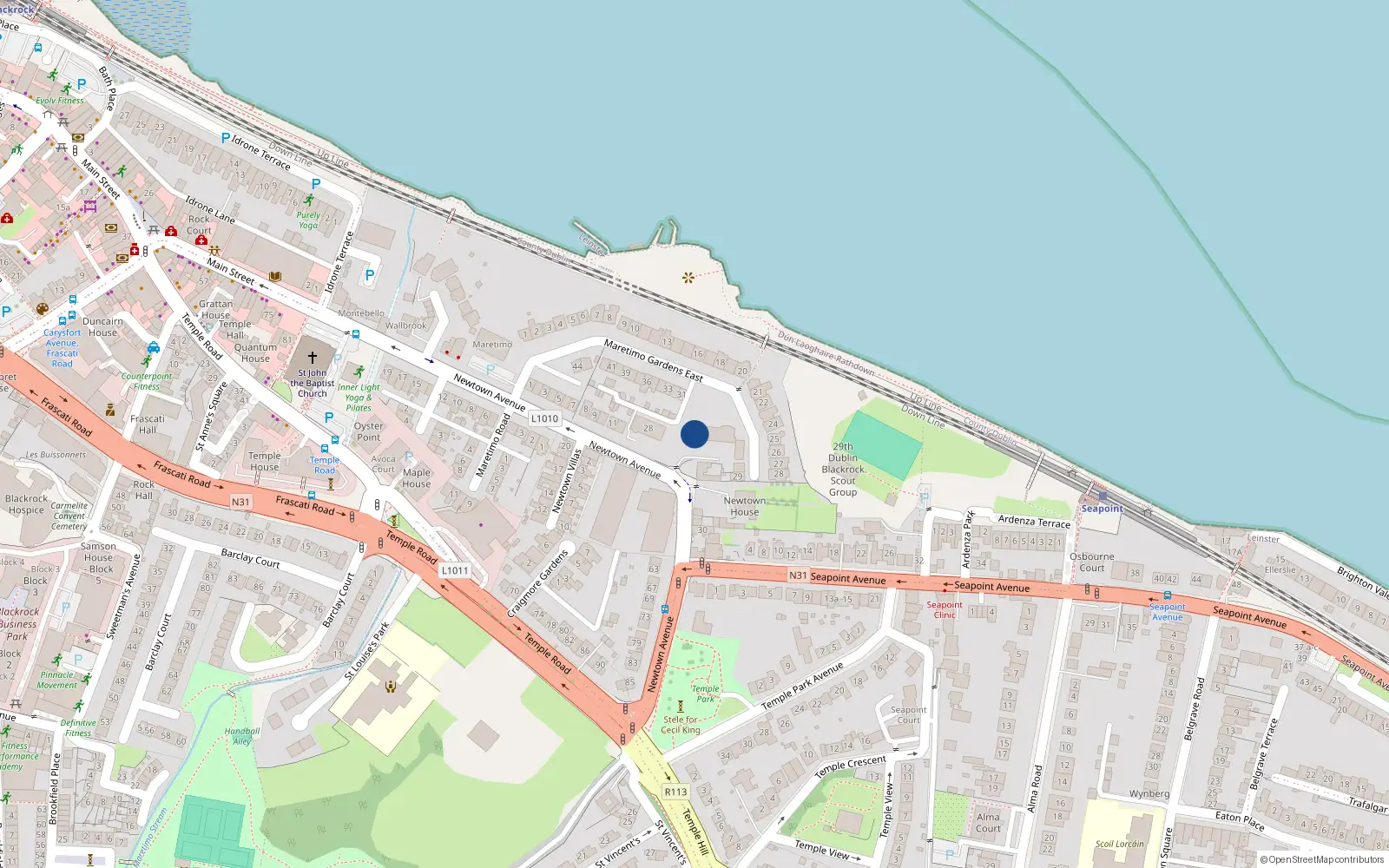 Overhead map showing the location of Newtown Avenue, Blackrock