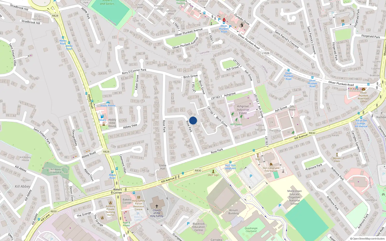 Overhead map showing the location of Briarlee 30 Rose Park, Kill Avenue, Dun Laoghaire
