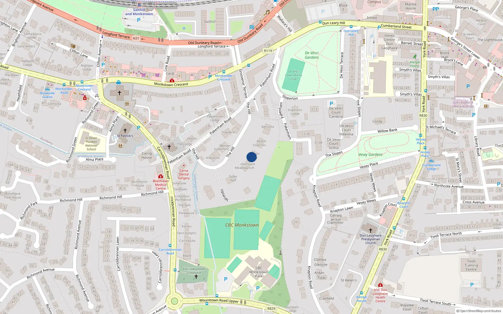 Overhead map showing the location of The Hill, Monkstown
