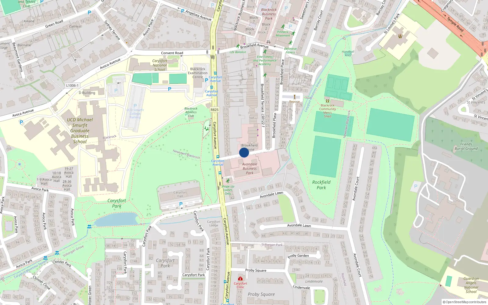 Overhead map showing the location of Newtown Blackrock, Dublin, Co. Dublin