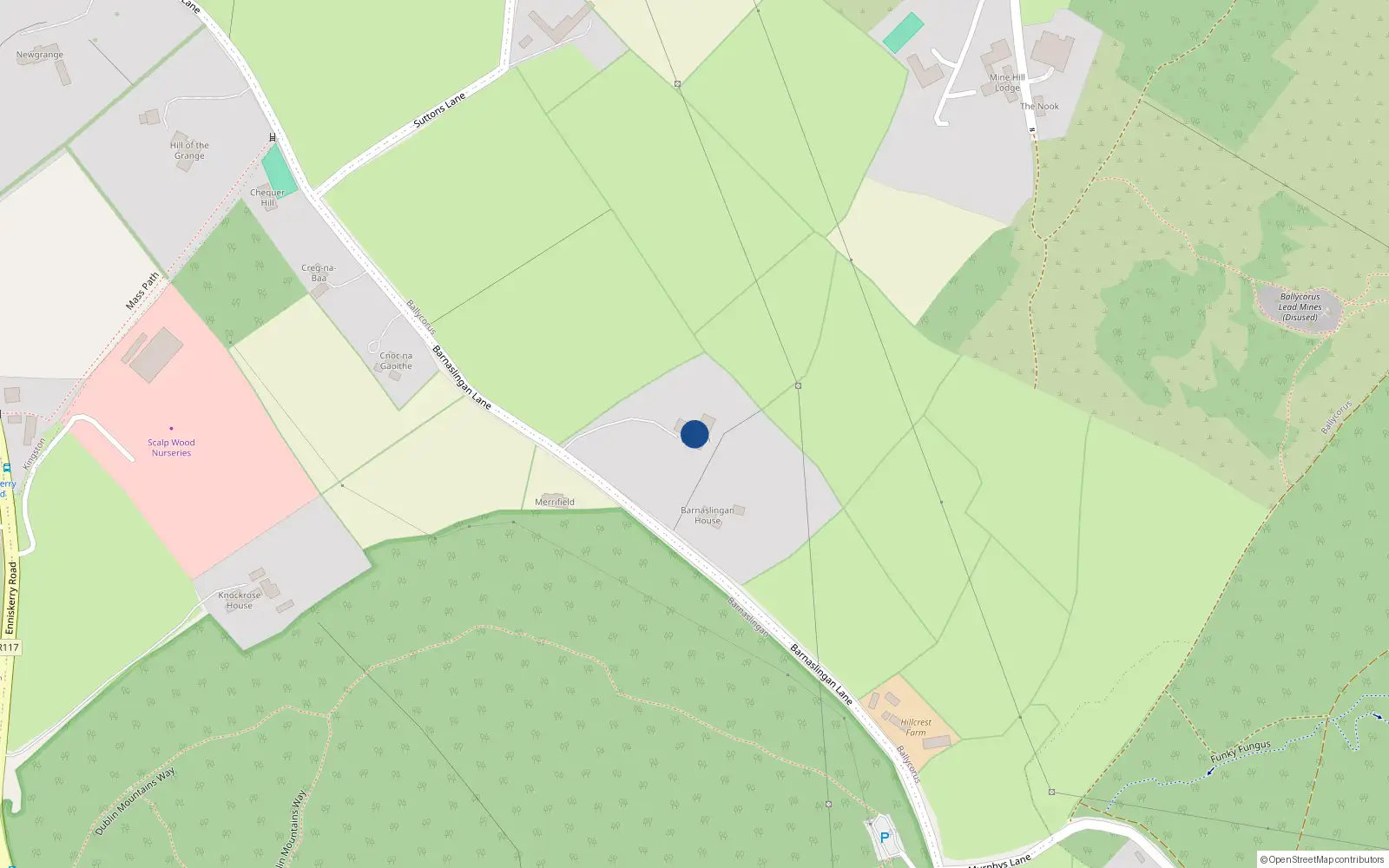 Overhead map showing the location of Barnaslingan Lane, Kilternan