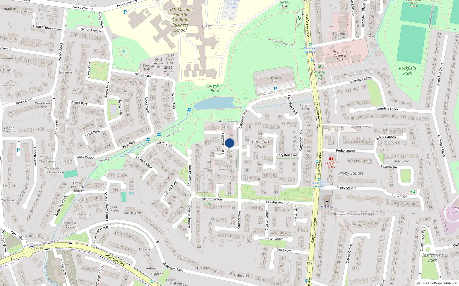 Overhead map showing the location of Carysfort Cottage, 148 Carysfort Park, Blackrock