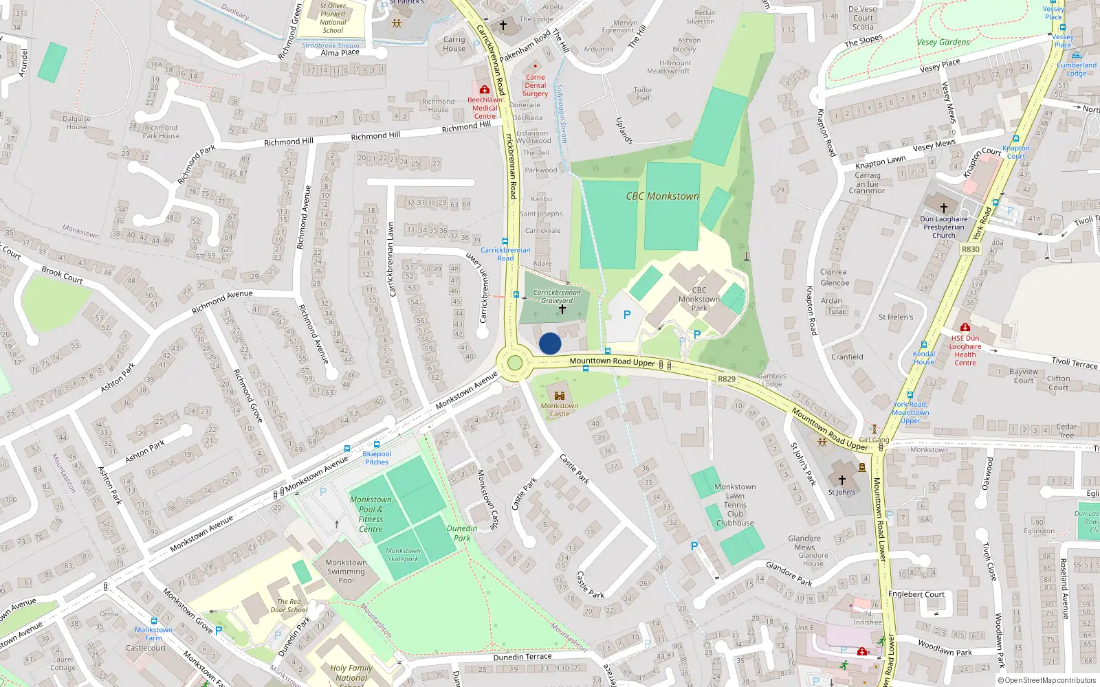 Overhead map showing the location of Carrickbrennan Road, Monkstown