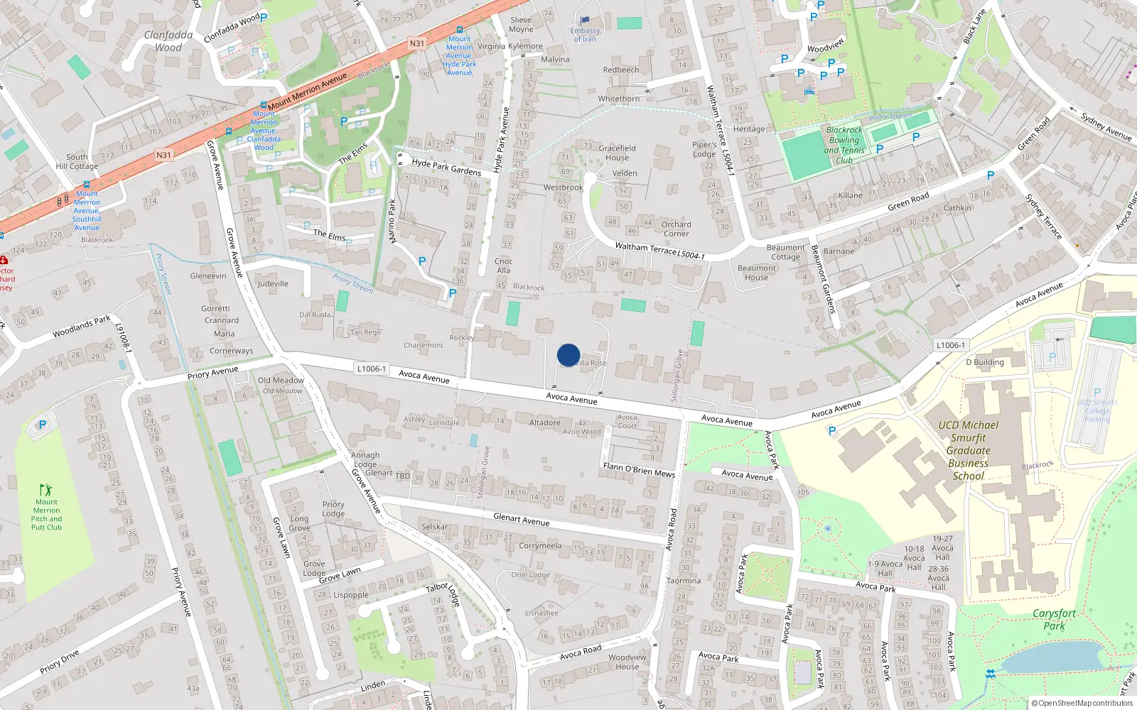 Overhead map showing the location of Avoca Avenue, Blackrock