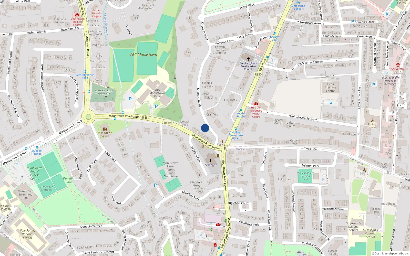Overhead map showing the location of Knapton Road, Monkstown