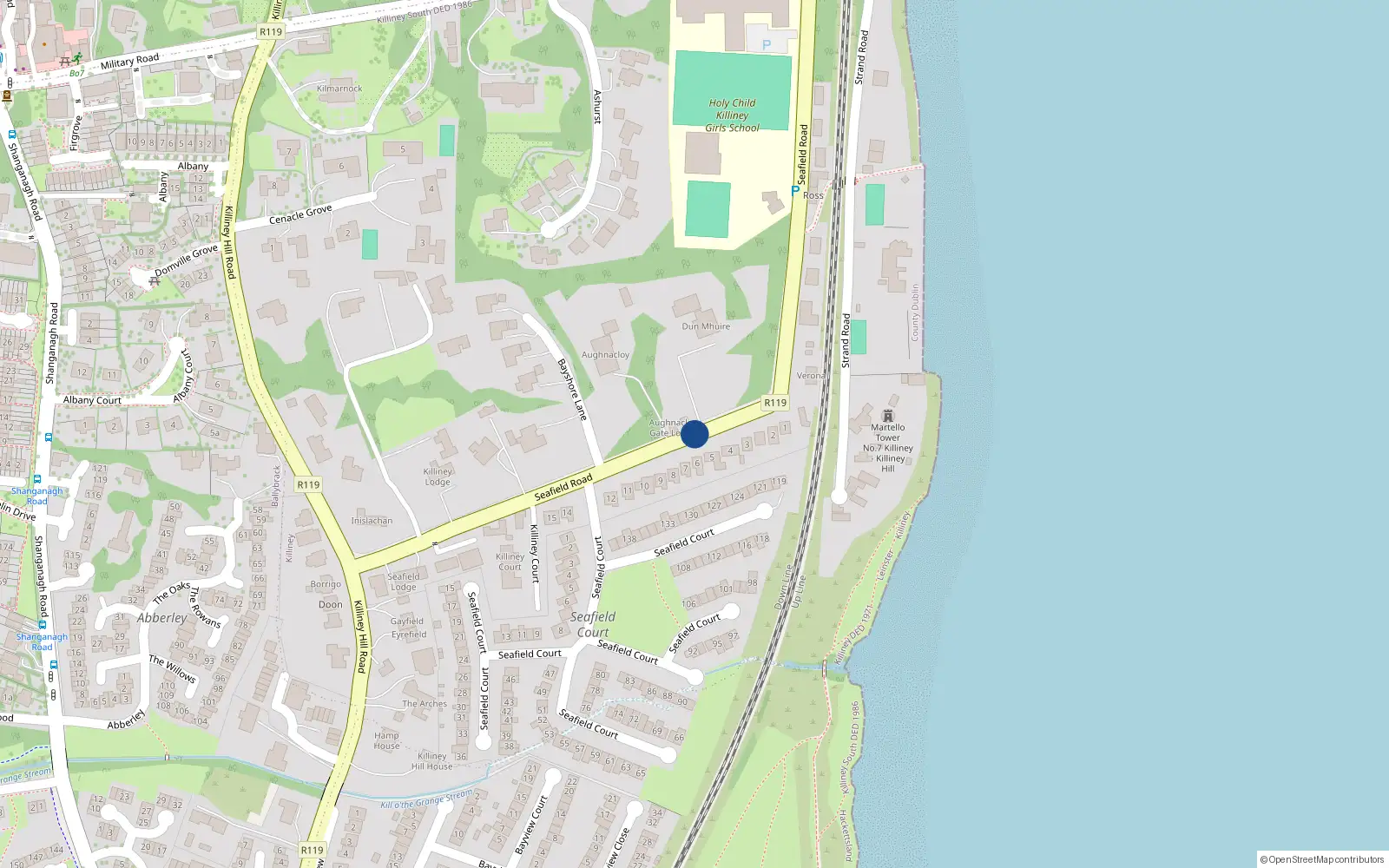 Overhead map showing the location of Seafield Road, Killiney
