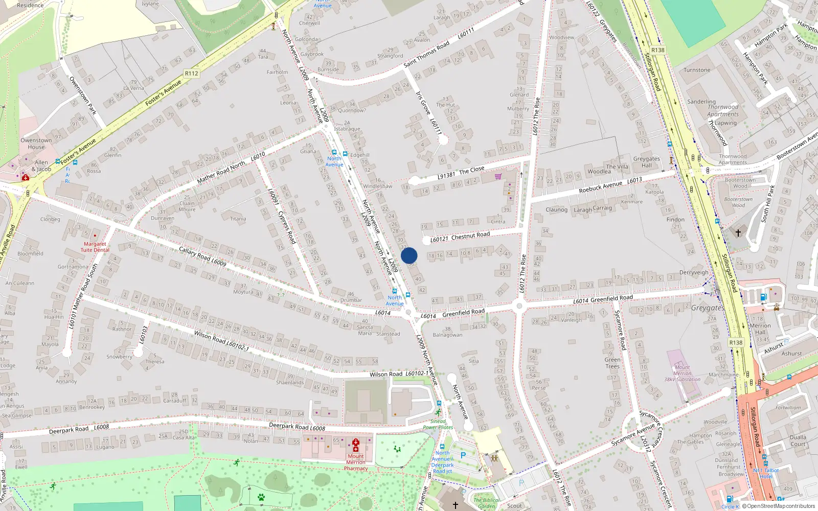 Overhead map showing the location of 38 North Avenue, Dublin