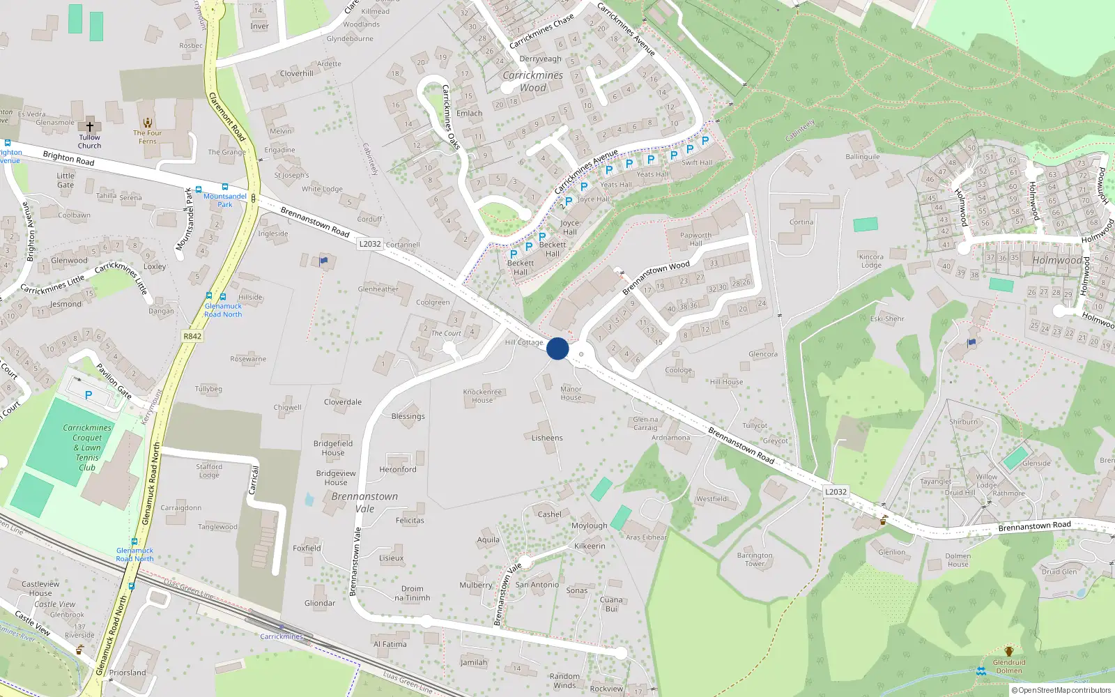 Overhead map showing the location of Brennanstown Road, Carrickmines